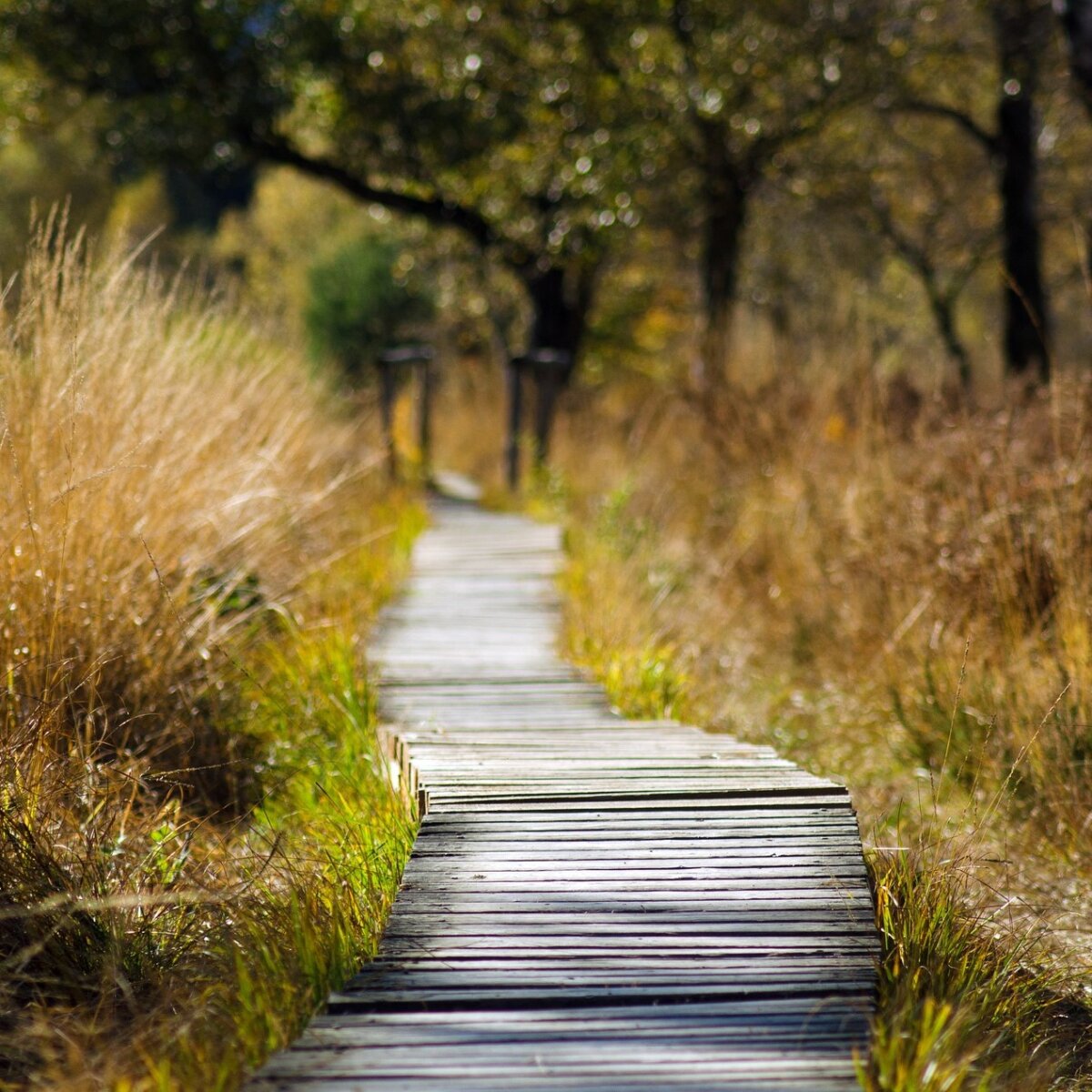 Hilfe bei Depression